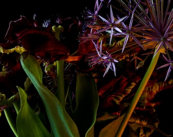 Foto ramo de flores exóticas, Naturaleza muerta Gran formato Decoración del hogar