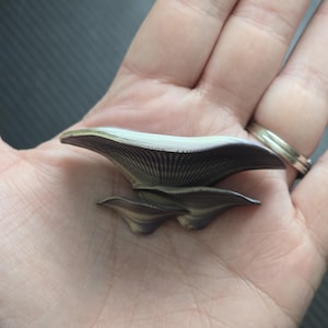 Mushroom Magnet