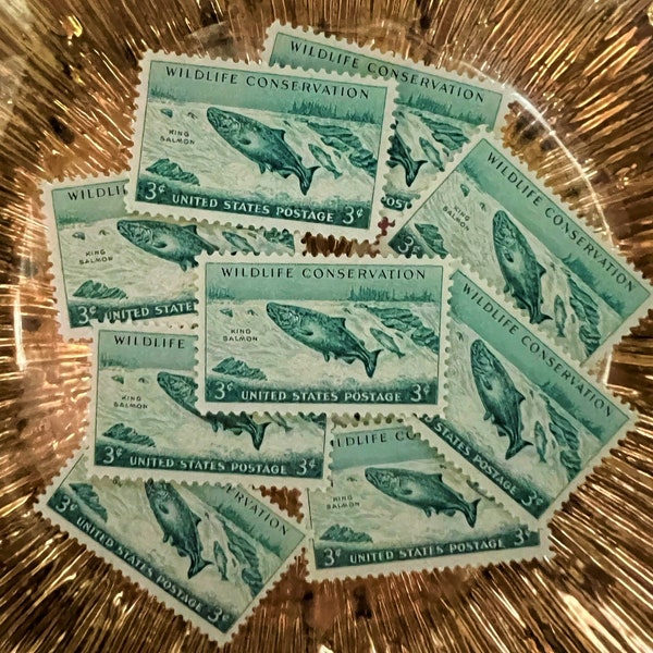 10 Vintage Wildlife Conservation King Salmon Unused Stamps - Scott #1079 - From 1956 - Vintage - USPS - 3 Cents - Postage