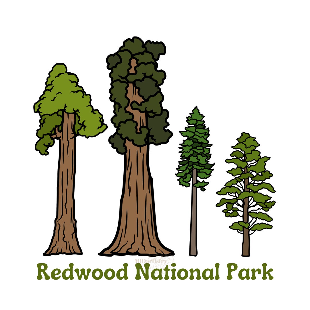 Redwood Redwood Svg National Park Redwood National Park - Etsy