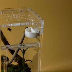 Magnetische Springspinne Futterschale – Mini Futter- & Wasserschale für baumbewohnende Haustiere, Insekten und Reptilien