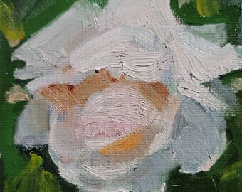 ACEO, Pink Garden Rose, Original Flower Oil Painting, 3.5x 2.5 inch, Unframed Miniature Art