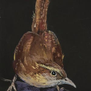 Wren-1, Original Pastel Bird Painting 6x4 Inches, Framed