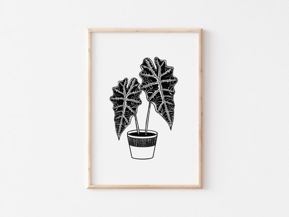 sygdom kabine Udløbet Alocasia Polly Print A4 A5 Plant Art Gifts for Plant - Etsy
