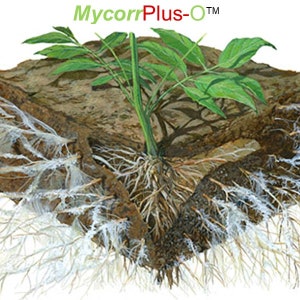 Coco Coir SuperGrowMix TM Grow Media image 2