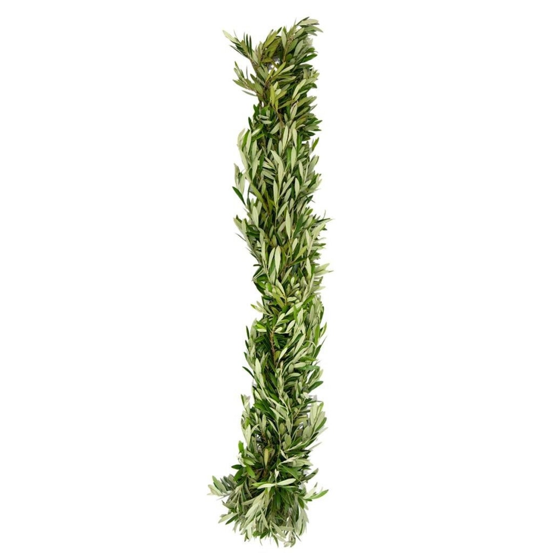 Olive Garland Fresh Real Garland wedding Decorations Table Centerpiece