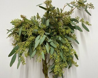 Fresh Eucalyptus | Seeded Eucalyptus