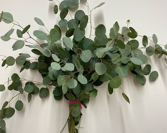 Fresh Eucalyptus | Silver Dollar | Greenery | Wedding Greenery | Event Florals | Flower Filler | Live Plants |
