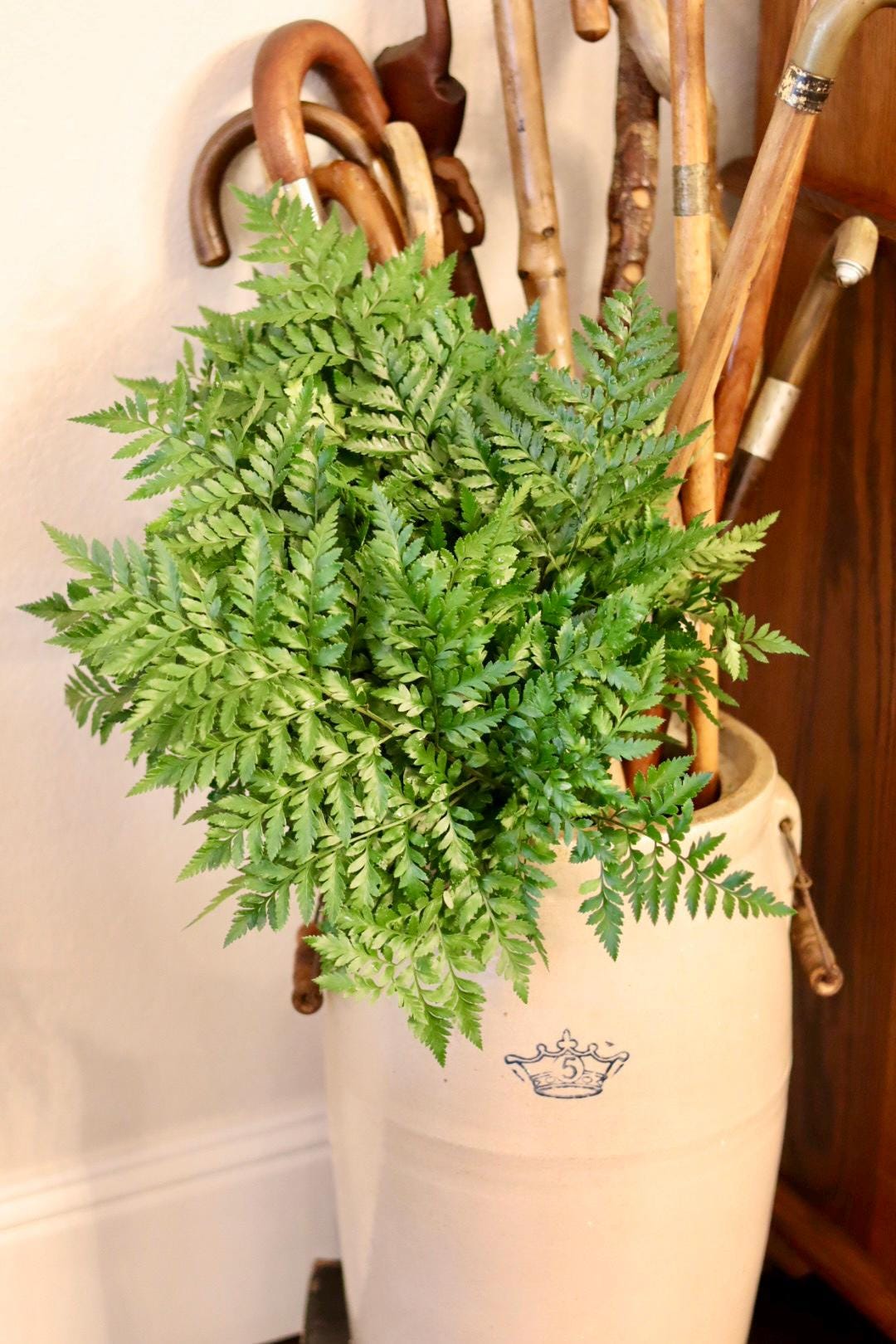 Leather Leaf Fern Bunch