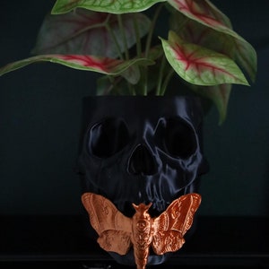 May include: A black skull planter with a green and red leafy plant growing out of the top. A copper coloured moth is attached to the front of the skull.