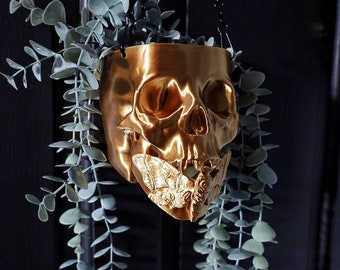 Death Moth Skull Hanging Planter | Gothic Home Decor