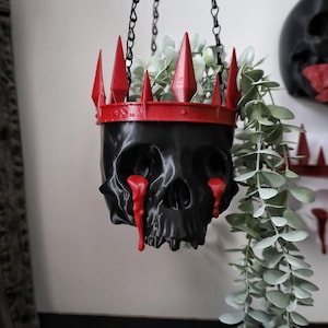 May include: A black skull planter with a red crown and dripping red paint, hanging from a chain. The planter is filled with green foliage.
