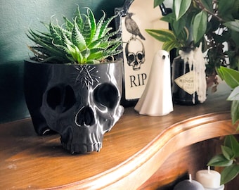 Large Skull Planter With All Seeing Eye Detail