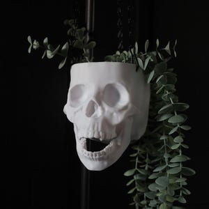 May include: A white ceramic skull planter with a hanging chain, filled with green leafy plants.