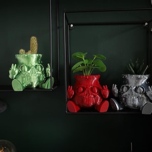 May include: Three skull-shaped planters with different coloured paint finishes. The planters are on black shelves and each has a different type of plant growing inside. The planter on the left is green, the middle planter is red, and the planter on the right is silver.