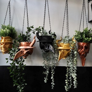 May include: Five hanging planters made of black, gold, and brown skull-shaped ceramic. Each planter is filled with green plants and hangs from a black chain.