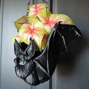 May include: A black bat-shaped hanging planter with green and pink leaves of a plant inside.