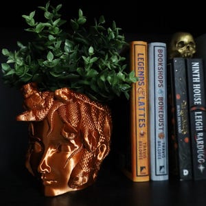 May include: A copper-coloured planter shaped like a human head with snakes wrapped around it. The planter is on a black shelf with a few books and a gold skull. The books are titled "Legends & Lattes" and "Bookshops & Boneyard".