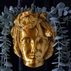 May include: A gold-coloured hanging planter shaped like the head of Medusa, with snakes for hair. The planter is hanging from a black chain and has a plant with green leaves growing inside.