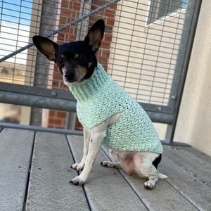 Dog Sweater, Crochet Pet Sweater, Chihuahua Sweater, Terrier Sweater, Puppy Clothes, Handmade Dog Apparel, Animal Clothes, Small Dog Coat