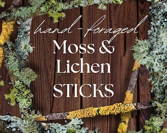 LIVE Hand Foraged Moss and Lichen STICKS - All Natural Moss and Lichen - Forest Finds - Terrarium Moss and Decor - Mini Garden - Small Plant
