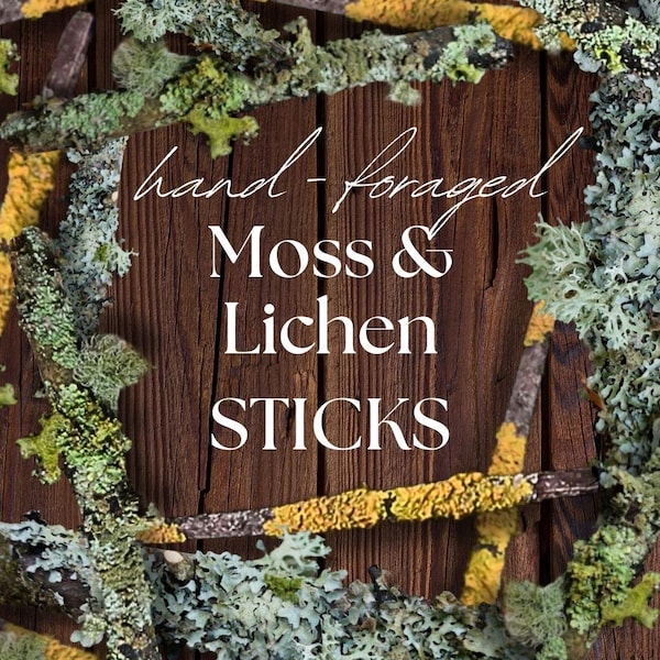 LIVE Hand Foraged Moss and Lichen STICKS - All Natural Moss and Lichen - Forest Finds - Terrarium Moss and Decor - Mini Garden - Small Plant