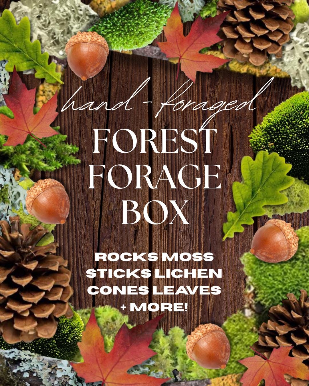 Forage Subscription Box Hand Foraged Forest Forage Box | Rocks | Moss | Sticks | Lichen | Cones ...