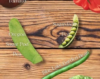 Garden Seed Selection - Vegetables, Herbs, Flowers, and more! Variety of Seed Mixes, Heirloom Seeds, Classic Garden Favorites, All Seasons