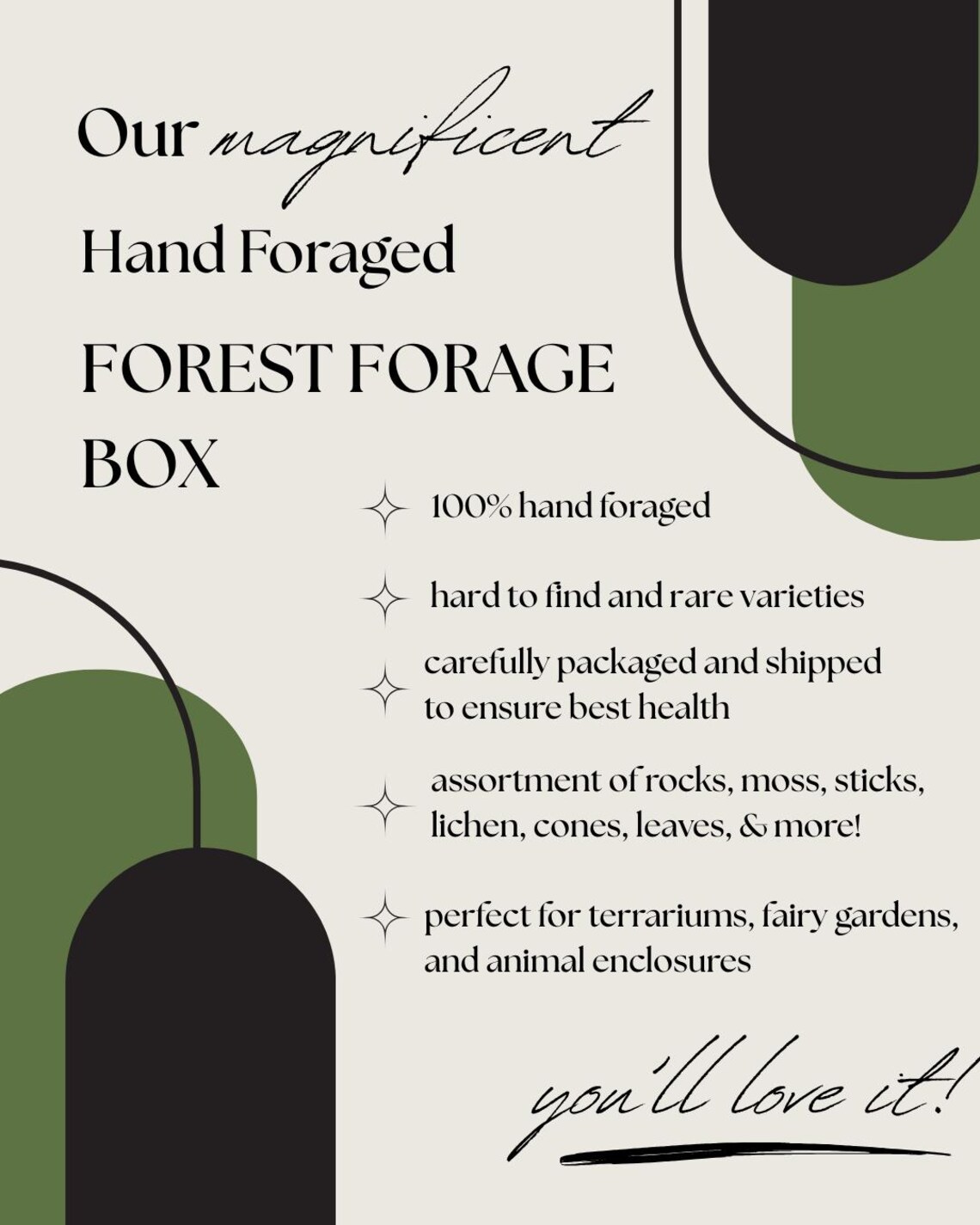 Forage Subscription Box Hand Foraged Forest Forage Box | Rocks | Moss | Sticks | Lichen | Cones ...