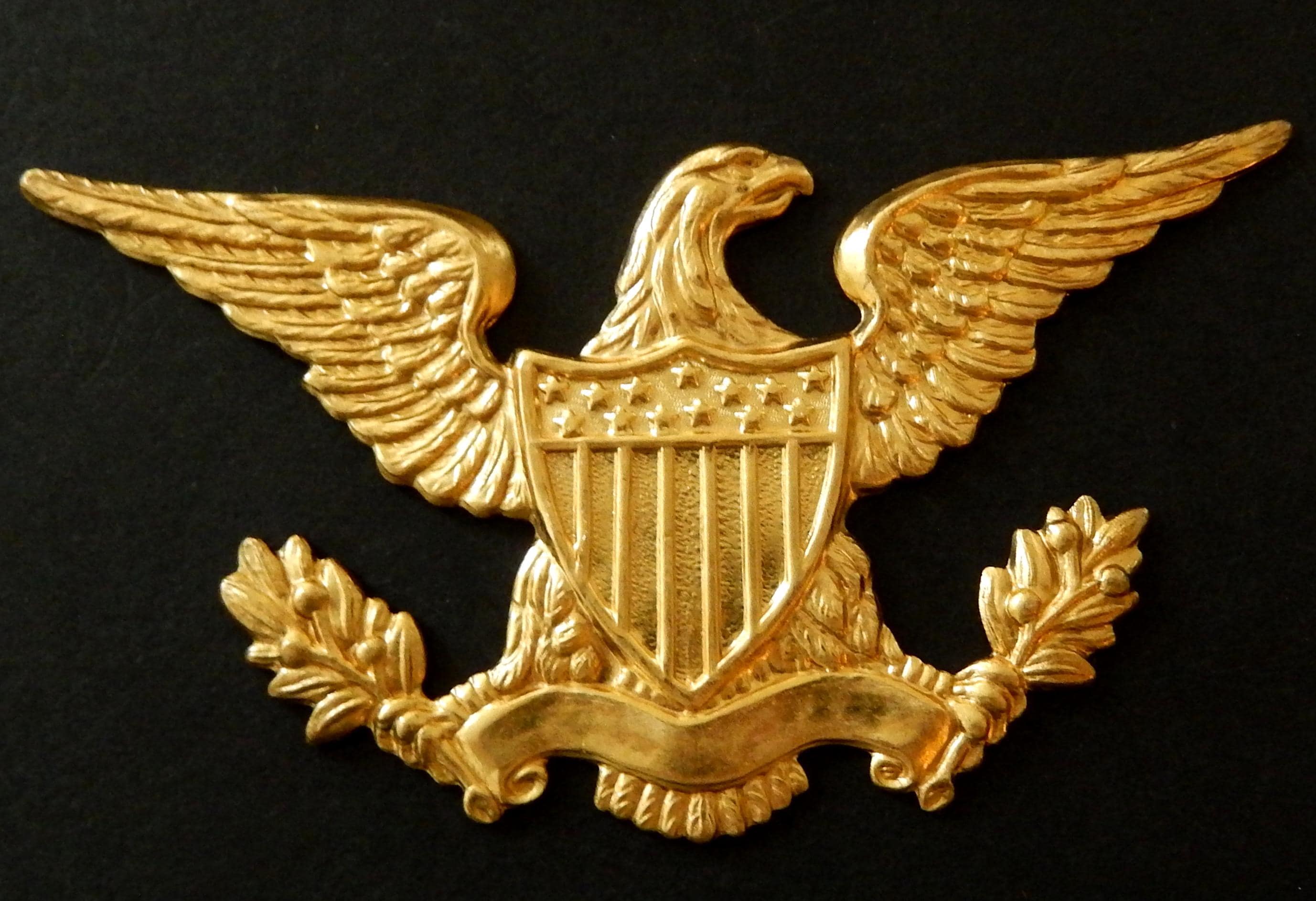 XL American Eagle / Raw Brass Stamping /3.25