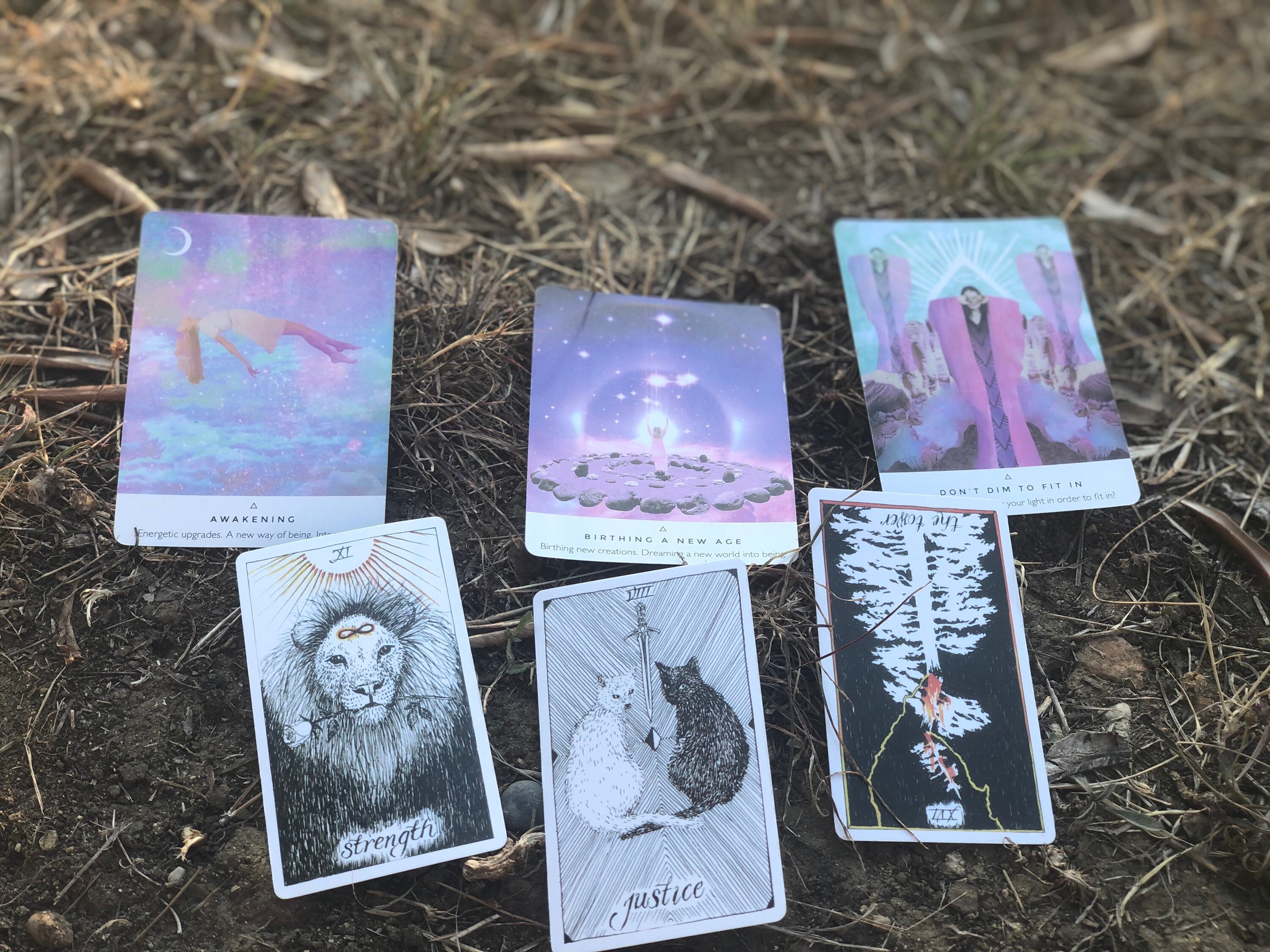 Mois à L'avance Lecture Psychique Intuitive Du Tarot