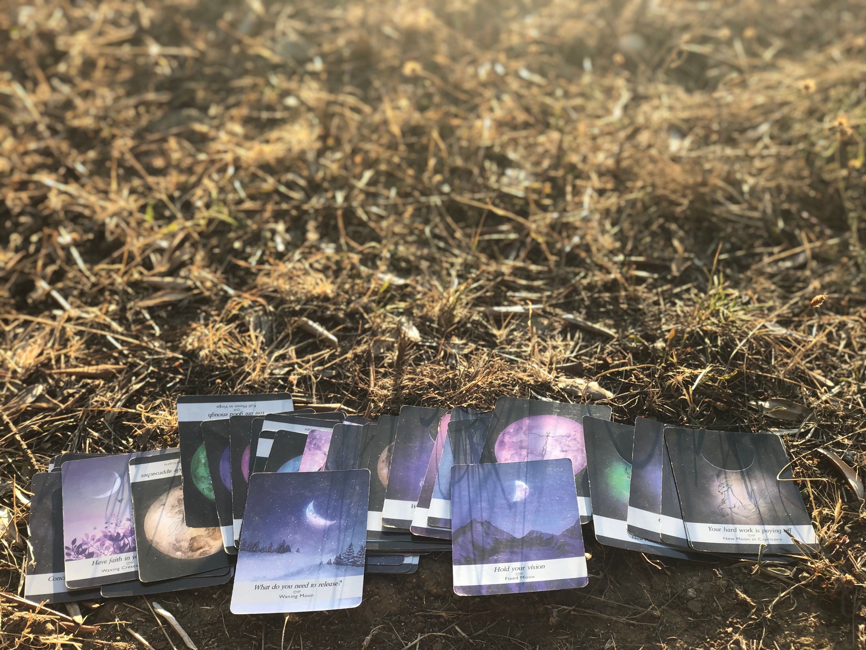 Nouveau/Pleine Lune Planète Transit Psychique Intuitif Tarot Lecture