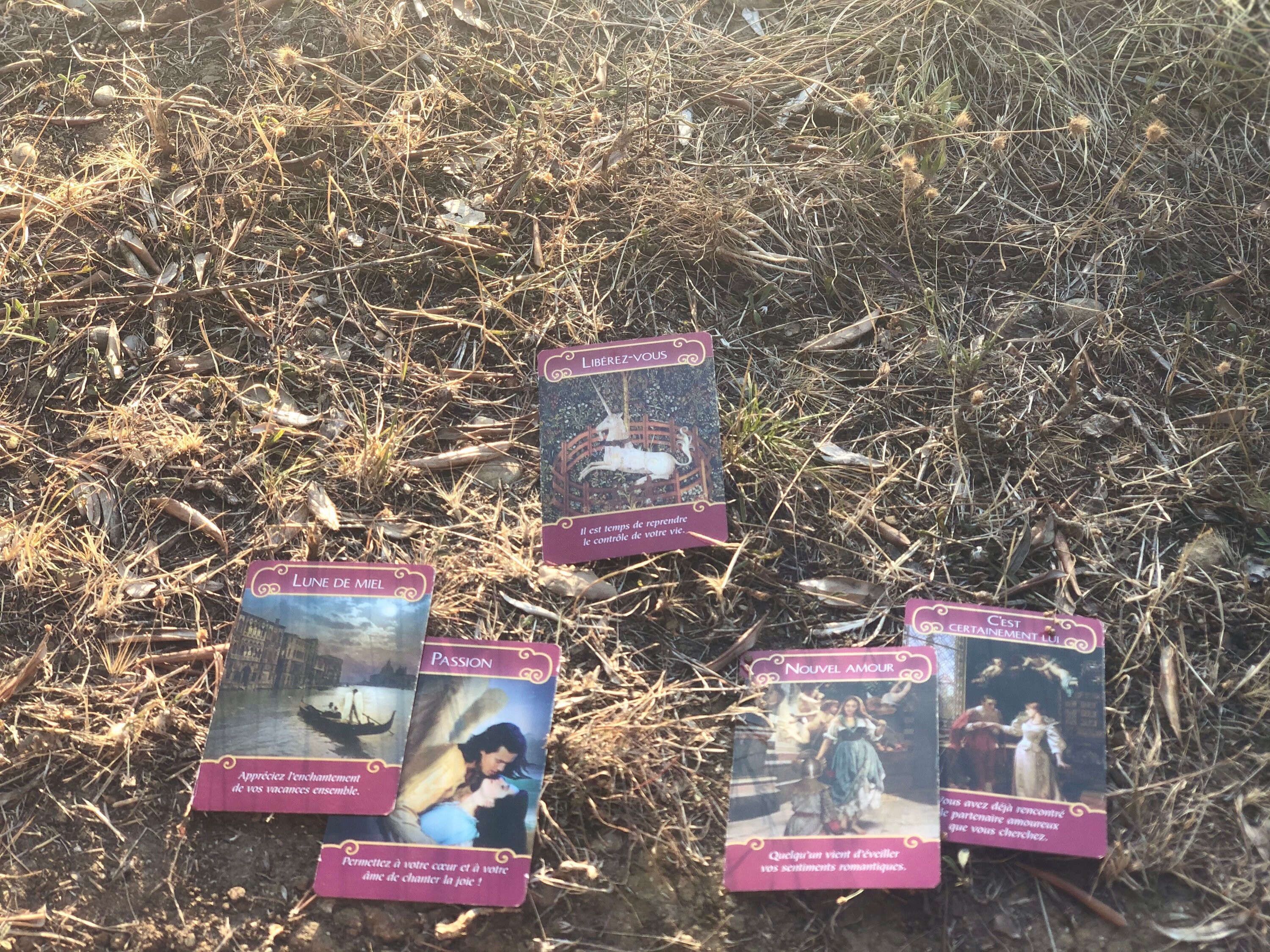 Amour/Platonique Psychic Lecture Intuitive Du Tarot