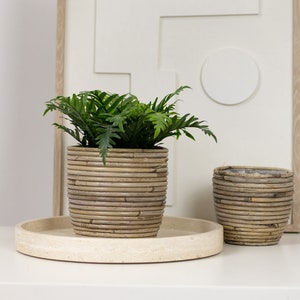 Peut inclure: Une petite plante verte dans un pot rond tissé brun clair. Le pot est posé sur un plateau rond beige. Un pot plus petit et assorti se trouve à droite. L'arrière-plan présente un mur blanc avec un motif géométrique.