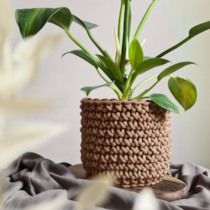 May include: A green houseplant in a brown crocheted planter pot. The pot is sitting on a wooden surface.