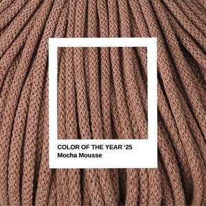May include: Close-up of a brown, textured fabric with the text "COLOR OF THE YEAR '25 Mocha Mousse" in a white rectangle.