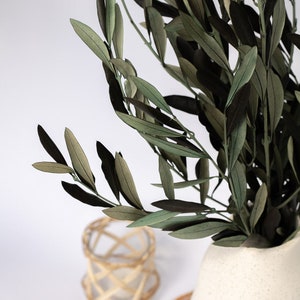 Könnte beinhalten: Ein Strauß getrockneter Olivenzweige mit dunkelgrünen Blättern in einer weißen Keramikvase. Die Vase steht auf einem Tisch mit einer geflochtenen Tischdecke.