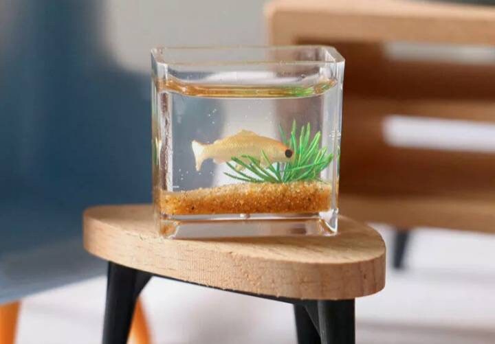 fish bowl accessories