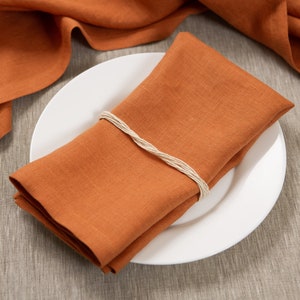 Terracotta linen napkin folded with natural twine and styled on a white ceramic plate. Warm earthy linen tone perfect for modern table settings, rustic dining, Mediterranean inspired decor, autumn entertaining, wedding receptions and cozy farmhouse interiors. Soft washed organic linen with natural texture, reusable eco friendly dinner napkin handmade for everyday dining, elegant hosting, cottagecore styling, seasonal tablescapes and timeless sustainable home decor.