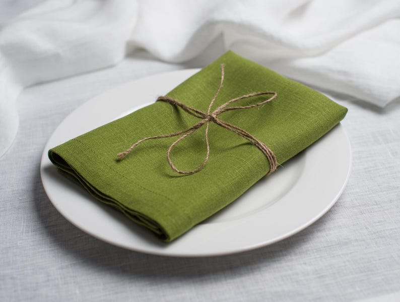 Light green linen napkin folded and tied with rustic natural twine, beautifully styled on a white ceramic plate. Elegant organic linen table textile designed for sustainable dining, modern table decor, intimate dinners, wedding receptions, farmhouse interiors and seasonal entertaining. Soft washed linen with a rich natural texture, reusable eco friendly cloth napkin for everyday meals, cottagecore styling, luxury tablescapes, holiday gatherings and timeless handmade home decor.