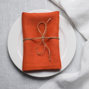 Terracotta Linen Napkins: Organic Reusable Dinner Napkins, Table Decor, Holiday gift image 1
