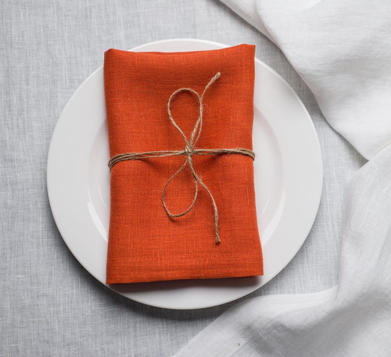 Terracotta Linen Napkins: Organic Reusable Dinner Napkins, Table Decor, Holiday gift image 1