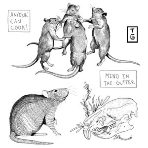 Flash Sheet - RODENT