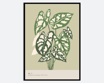 Botanical Floral Prints