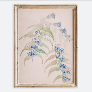 Puede incluir: Pintura a la acuarela enmarcada con una ilustración botánica. La obra representa una vid floreciente con flores azules en forma de campana y hojas verdes sobre un fondo rosa pálido. El marco es de madera clara envejecida.