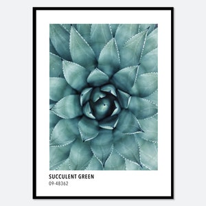 Impresión artística inspirada en la tarjeta de color verde suculento / Impresión artística fotográfica de plantas suculentas, arte botánico, póster moderno colorido #CC04