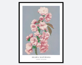 Ogawa Kazumasa Pink Cherry Blossom Flowers Vintage Japanese Photograph Botanical Art Print | Antique Japanese Floral Painting Poster OK05