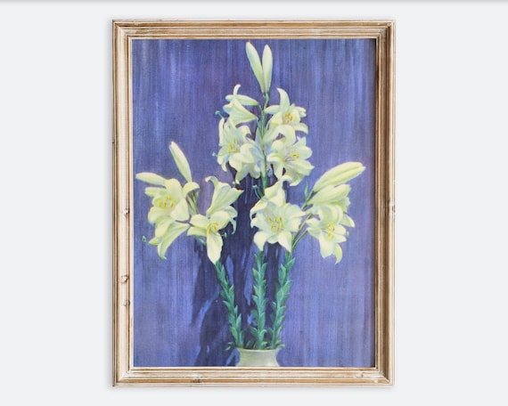 ヴィンテージ マドンナ リリー 静物画 ウォールアートプリント