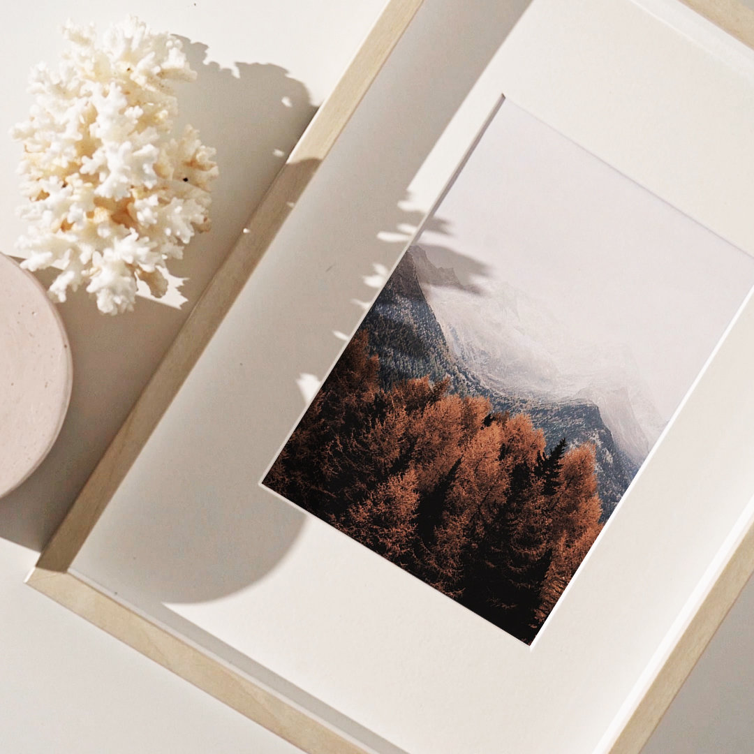 Autumn Leaves Forest Mountain Art Print | Nature Photography, Fall ...