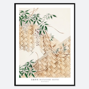 Watanabe Seitei Wisteria Illustration from Bijutsu Sekai Vintage Japanese Woodblock Art Print | Japanese Art, Japanese Poster 渡辺省亭美術世界 JP27